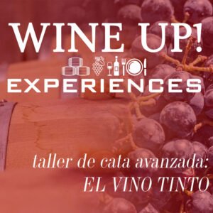 TALLER DE CATA AVANZADO VINOS TINTOS