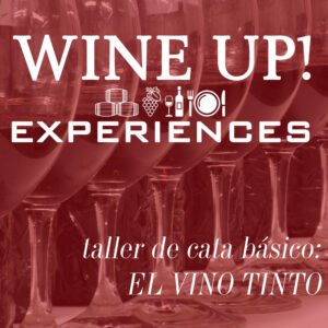 TALLER DE CATA BÁSICO: VINOS TINTOS
