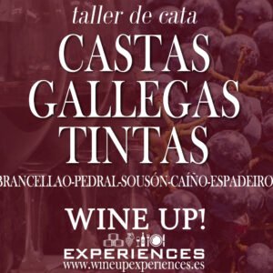 Taller de cata de vinos tintos "CASTAS GALLEGAS"