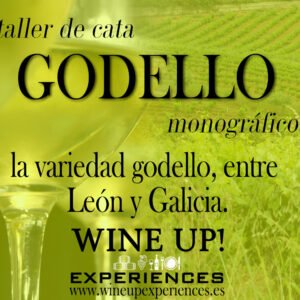 Taller de cata monovarietal GODELLO