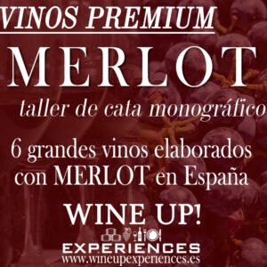 Taller de cata con vinos PREMIUM MERLOT