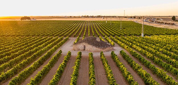 bodegasverum